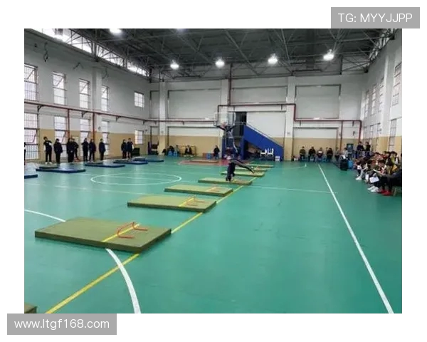 探索运动背后的科学原理与身体机能的深度连接 探索运动背后的科学原理与身体机能的深度连接