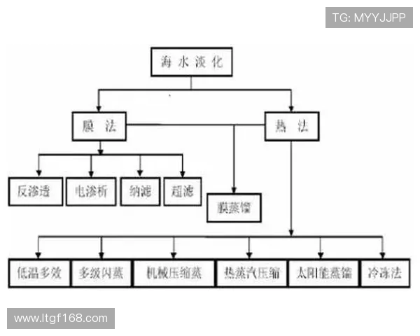 上海飞盘队技术分析与表现评估探讨及未来发展方向研究