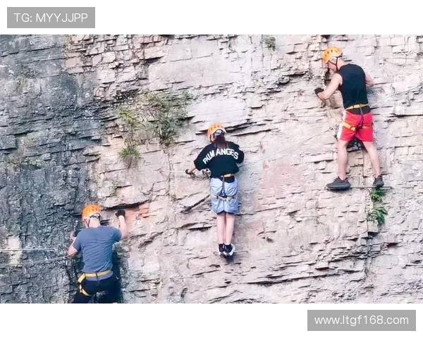 广州攀岩队速度对比深度解析与训练策略探讨 广州攀岩队速度对比深度解析与训练策略探讨