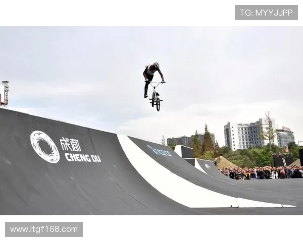 成都极限运动队转型升级之路探索与创新实践分析