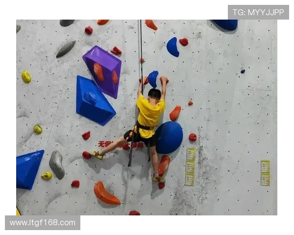 攀岩比赛经验排行榜揭晓上海攀岩队荣获第四名佳绩