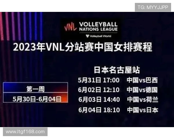 杭州排球队个人能力分析及其在联赛中的表现评析