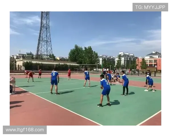 武汉排球队运营分析：成功经验与失误教训的深度剖析