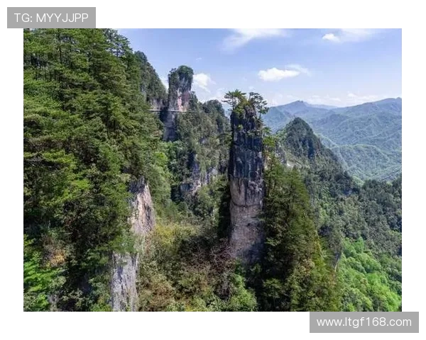 乌栖沙岩与自然奇观的碰撞探索生态之美与人文魅力的交融